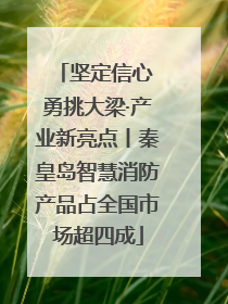坚定信心 勇挑大梁·产业新亮点丨秦皇岛智慧消防产品占全国市场超四成