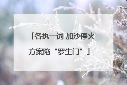 各执一词 加沙停火方案陷“罗生门”