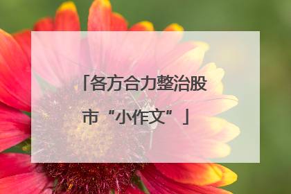 各方合力整治股市“小作文”