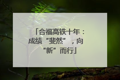 合福高铁十年：成绩“斐然”，向“新”而行