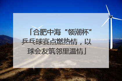 合肥中海“领潮杯”乒乓球赛点燃热情，以球会友筑邻里温情
