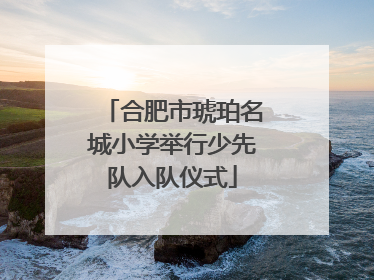 合肥市琥珀名城小学举行少先队入队仪式