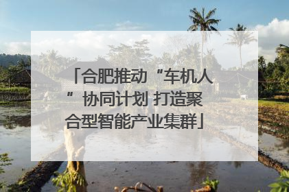 合肥推动“车机人”协同计划 打造聚合型智能产业集群