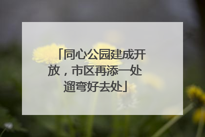 同心公园建成开放，市区再添一处遛弯好去处
