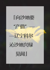 向沙地要“产值”——辽宁科尔沁沙地兴绿见闻