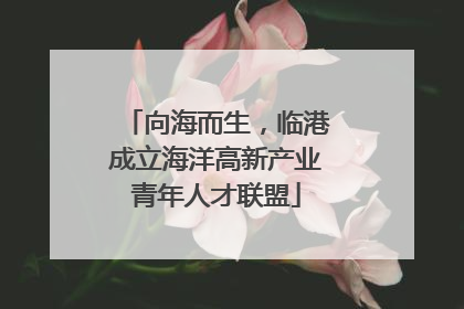向海而生，临港成立海洋高新产业青年人才联盟