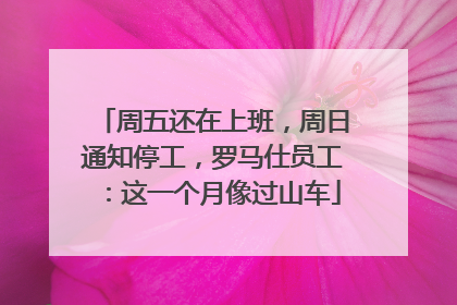 周五还在上班，周日通知停工，罗马仕员工：这一个月像过山车