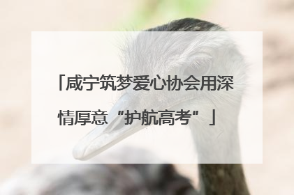 咸宁筑梦爱心协会用深情厚意“护航高考”