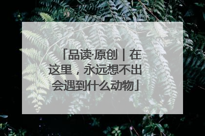 品读·原创｜在这里，永远想不出会遇到什么动物