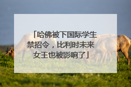 哈佛被下国际学生禁招令，比利时未来女王也被影响了