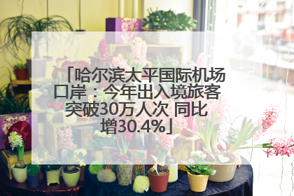 哈尔滨太平国际机场口岸：今年出入境旅客突破30万人次 同比增30.4%