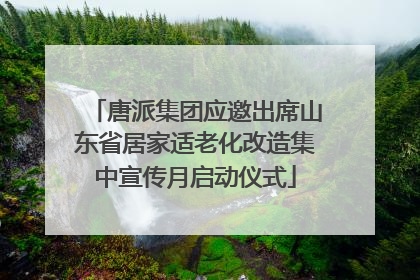 唐派集团应邀出席山东省居家适老化改造集中宣传月启动仪式