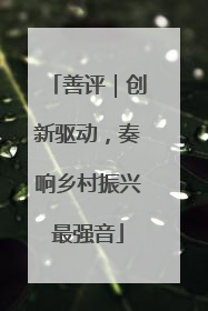 善评｜创新驱动，奏响乡村振兴最强音