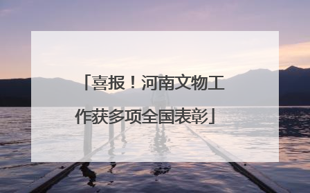 喜报！河南文物工作获多项全国表彰