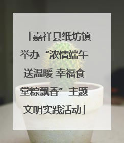 嘉祥县纸坊镇举办“浓情端午送温暖 幸福食堂粽飘香”主题文明实践活动