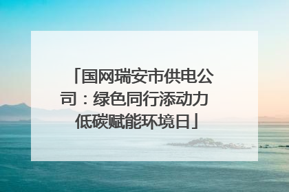 国网瑞安市供电公司：绿色同行添动力 低碳赋能环境日