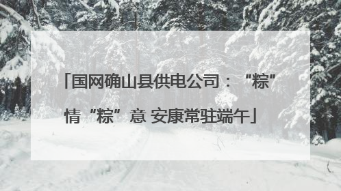 国网确山县供电公司：“粽”情“粽”意 安康常驻端午