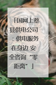 国网上蔡县供电公司：供电服务在身边 安全咨询“零距离”