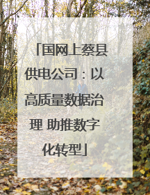国网上蔡县供电公司：以高质量数据治理 助推数字化转型