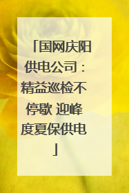 国网庆阳供电公司：精益巡检不停歇 迎峰度夏保供电