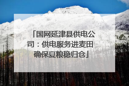 国网延津县供电公司：供电服务进麦田 确保夏粮稳归仓