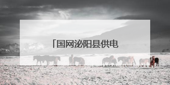 国网泌阳县供电公司：开展安全宣传咨询日活动