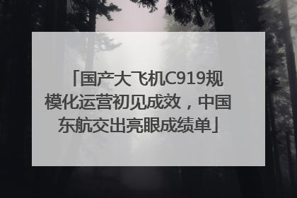 国产大飞机C919规模化运营初见成效，中国东航交出亮眼成绩单