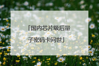 国内芯片级后量子密码卡问世