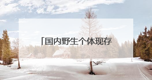 国内野生个体现存数量比大熊猫更为稀少！扬州首次发现“国宝”彩鹮