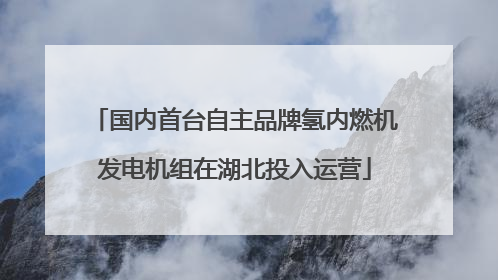 国内首台自主品牌氢内燃机发电机组在湖北投入运营