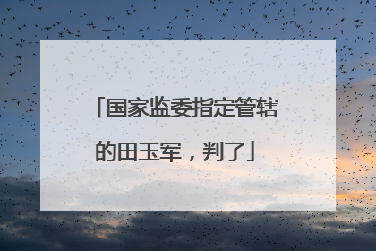 国家监委指定管辖的田玉军，判了