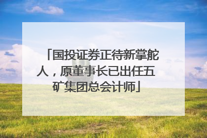 国投证券正待新掌舵人，原董事长已出任五矿集团总会计师