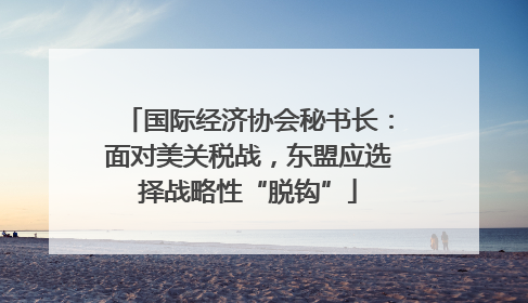 国际经济协会秘书长：面对美关税战，东盟应选择战略性“脱钩”