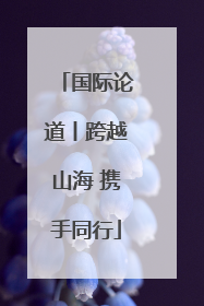 国际论道丨跨越山海 携手同行