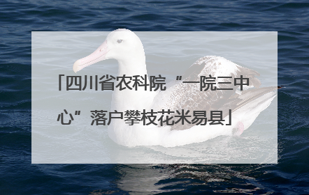 四川省农科院“一院三中心”落户攀枝花米易县