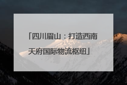 四川眉山：打造西南天府国际物流枢纽