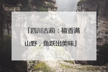 四川古蔺：椒香满山野，鱼跃出美味