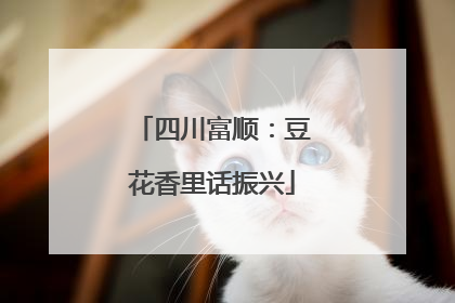 四川富顺：豆花香里话振兴