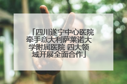 四川遂宁中心医院牵手意大利萨莱诺大学附属医院 四大领域开展全面合作