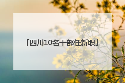 四川10名干部任新职