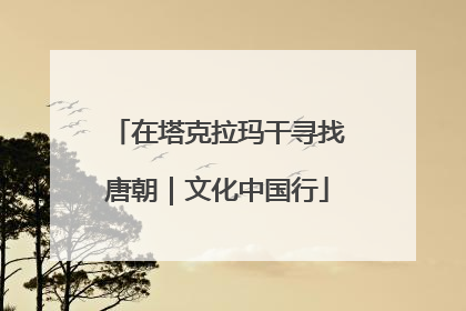 在塔克拉玛干寻找唐朝｜文化中国行