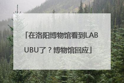 在洛阳博物馆看到LABUBU了？博物馆回应