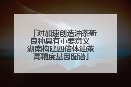 对加速创造油茶新良种具有重要意义 湖南构建四倍体油茶高精度基因图谱
