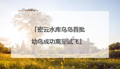 密云水库鸟岛首批幼鸟成功离巢试飞