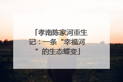 孝南陈家河重生记：一条“幸福河”的生态蝶变