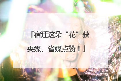 宿迁这朵“花”获央媒、省媒点赞！