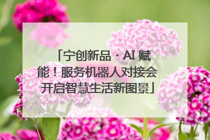 宁创新品・AI 赋能！服务机器人对接会开启智慧生活新图景
