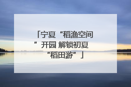 宁夏“稻渔空间”开园 解锁初夏“稻田游”