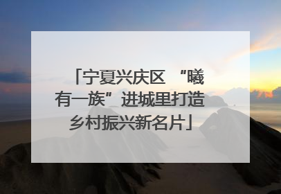 宁夏兴庆区 “曦有一族”进城里打造乡村振兴新名片