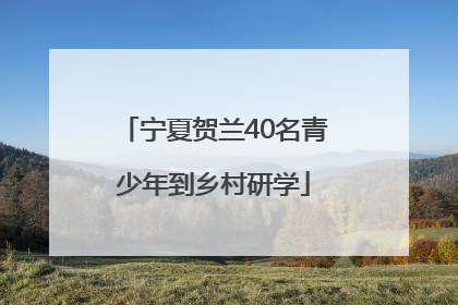 宁夏贺兰40名青少年到乡村研学